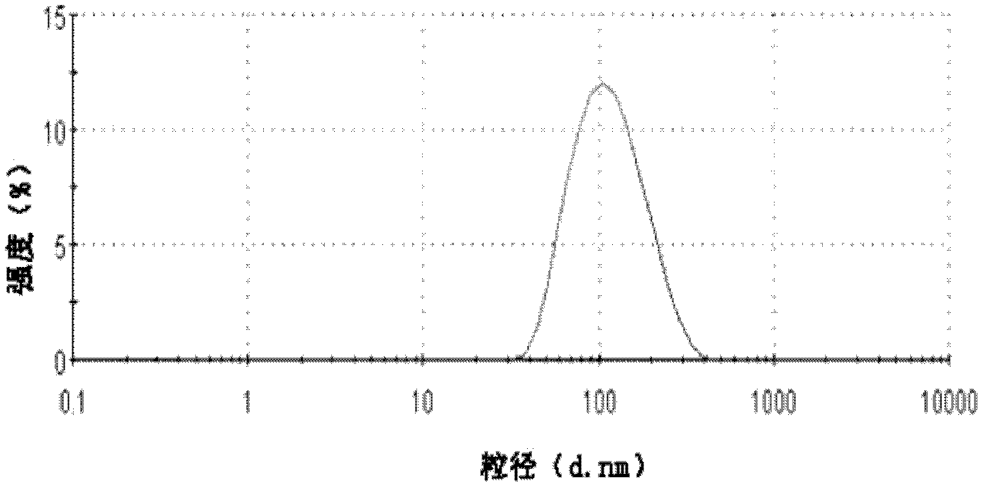 Invisible nano-liposome injection for encapsulating USPIO (Ultra-small Super Paramagnetic Iron Oxide) and preparation method and application thereof