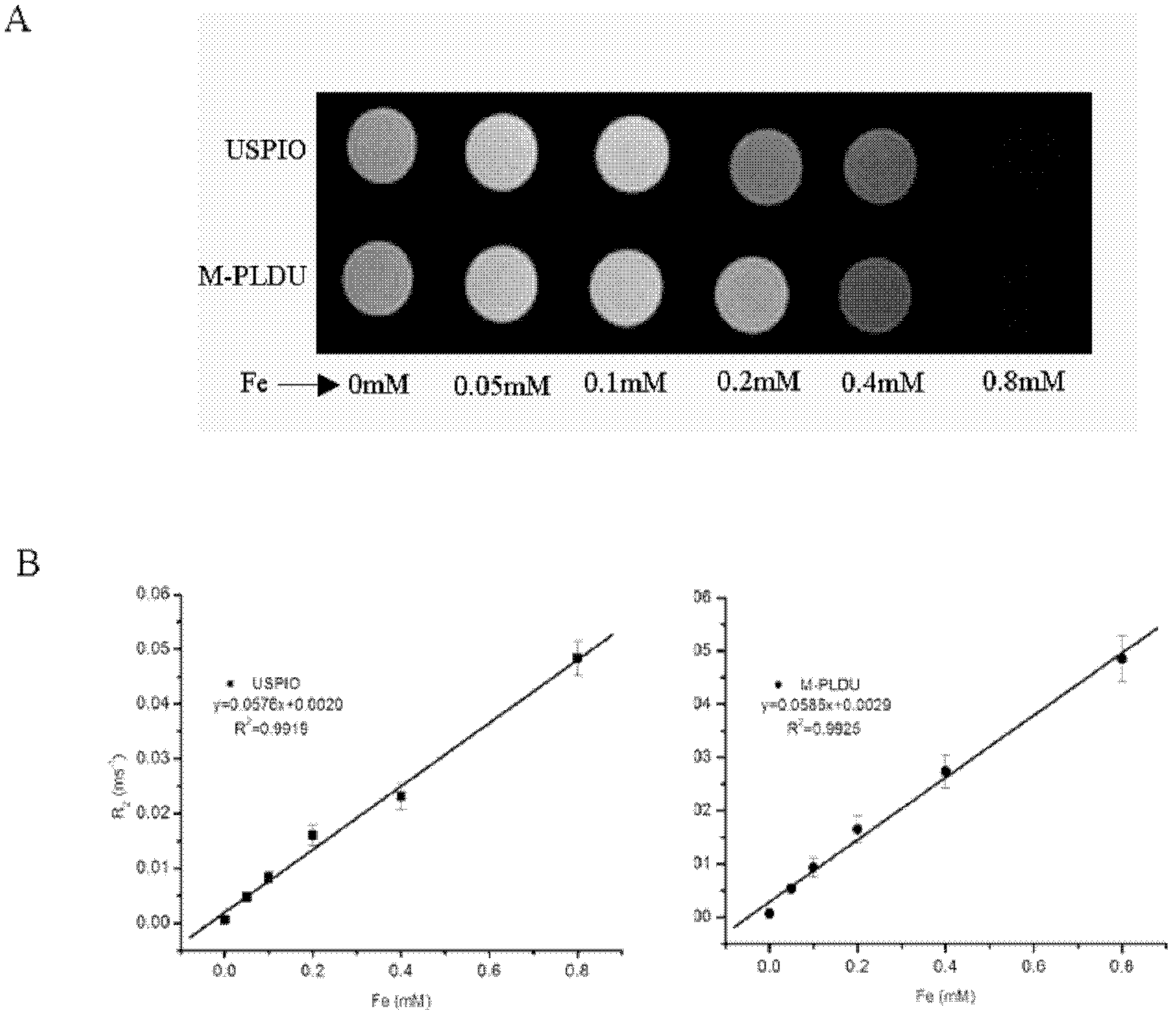 Invisible nano-liposome injection for encapsulating USPIO (Ultra-small Super Paramagnetic Iron Oxide) and preparation method and application thereof