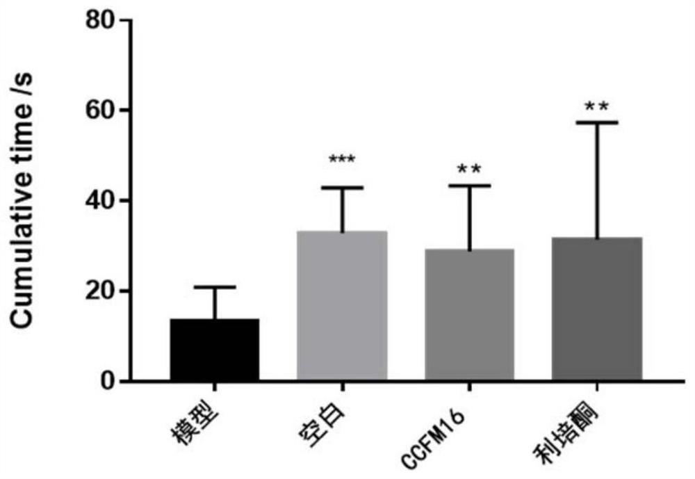 Application of ccfm16 in the preparation of bacterial agents, food or medicine for alleviating autism and adsorbing polychlorinated biphenyls