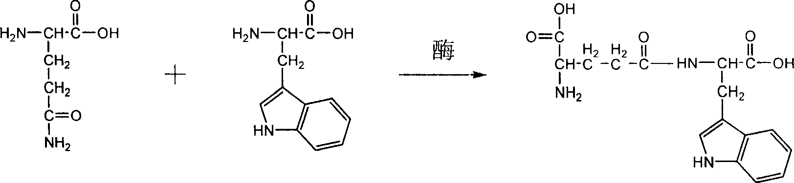 Process of synthesizing gamma-D-glutamine acyl L-tryptophane by enzyme method