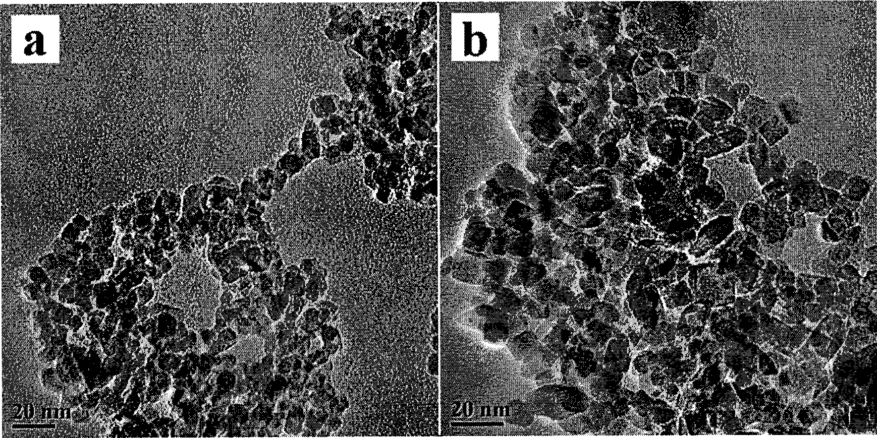 Electrode material used for organic inorganic composite cell and manufacturing process