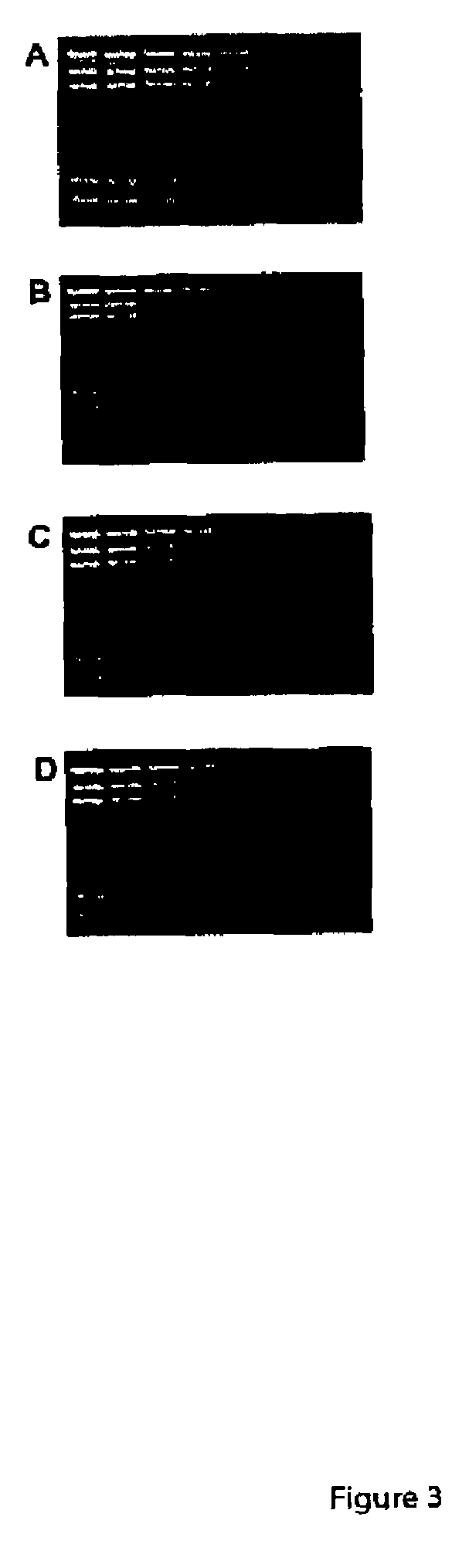 Detection of immobilized nucleic acid