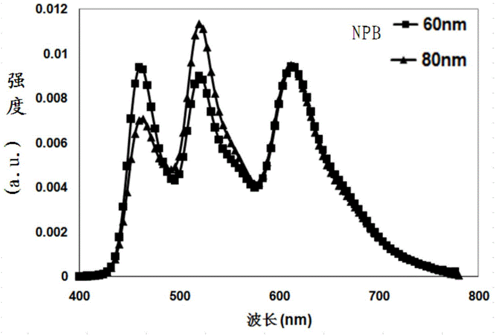 White-light OLED display screen and tandem type white-light organic light emitting diode thereof