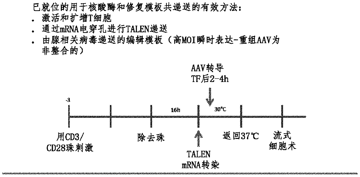 Method for treating autoimmune disease using cd4 t-cells with engineered stabilization of expression of endogennous foxp3 gene