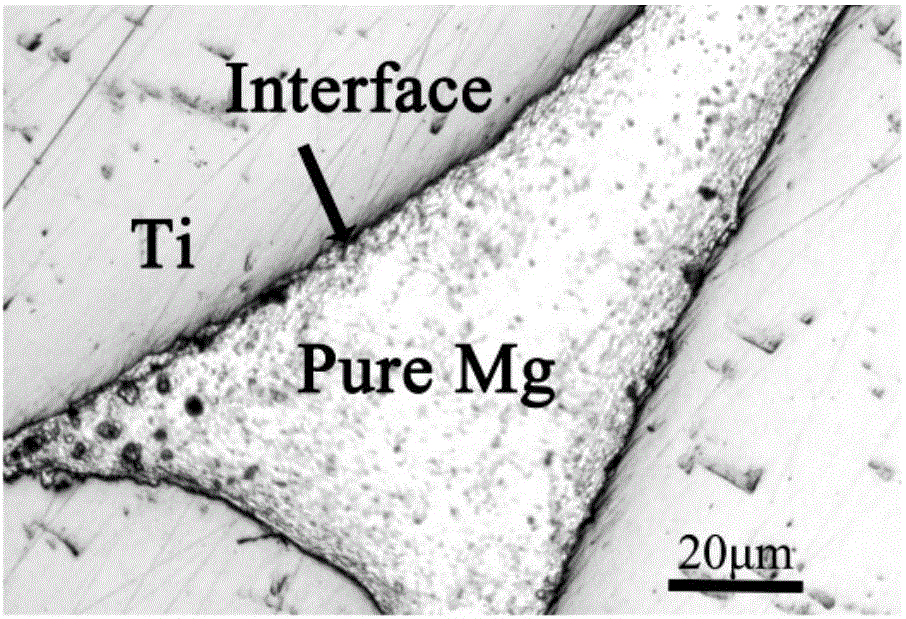 Medical titanium/magnesium composite material and preparation method thereof