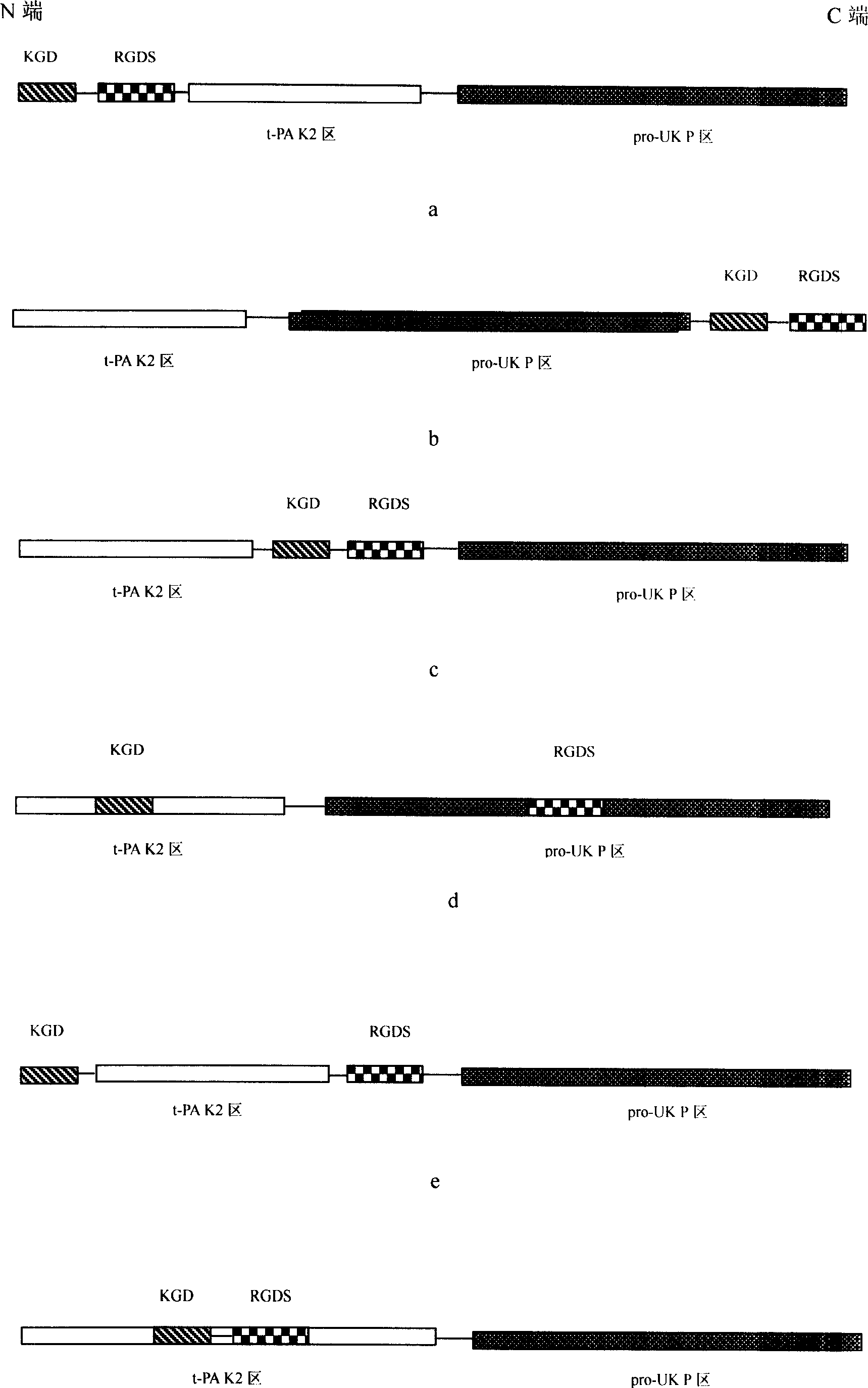 Prourokinase modifier, preparation method, pharmaceutical composition, use, encoding gene, carrier containing gene and transformation cell