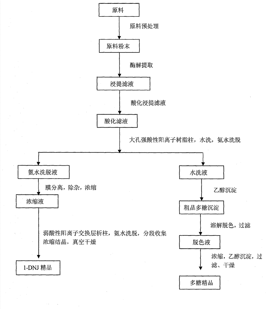 Method for extracting high purity 1-deoxynojirimycin