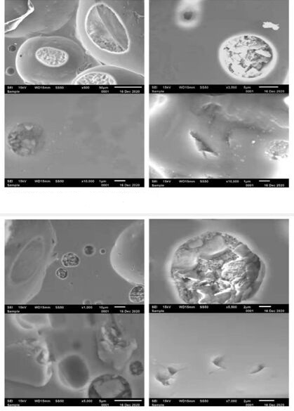 Micro-crystallized porous ceramic plate and preparation method thereof