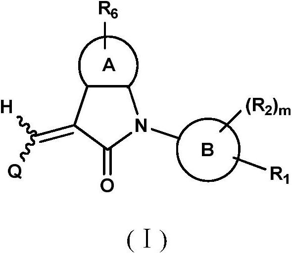 Benzopyrrolin-2-one derivatives substituted by n-benzoic acid group and use thereof