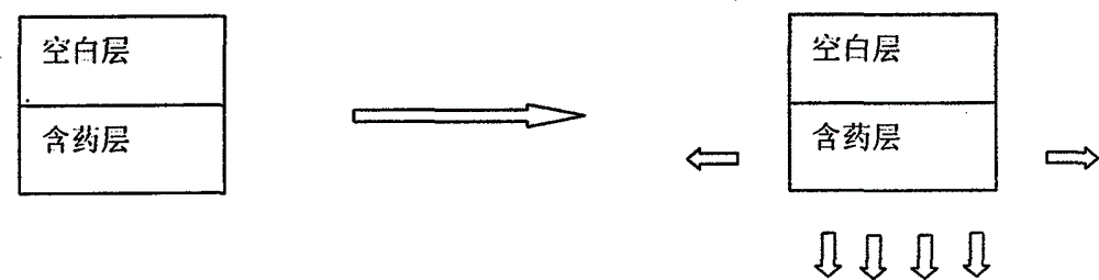 A kind of levetiracetam sustained-release tablet and preparation method thereof