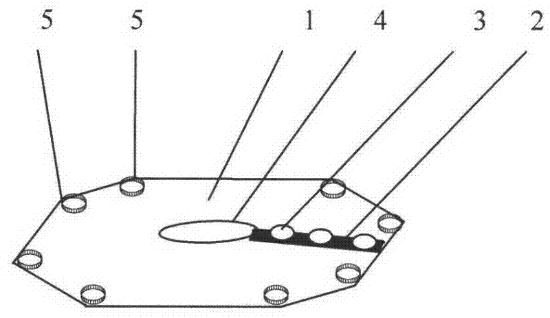 Canvas for harvesting fruits