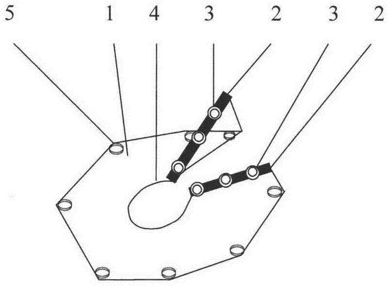 Canvas for harvesting fruits