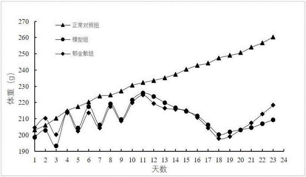 Method for establishing damp-heat diarrhea animal model