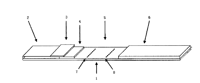 Reagent kit for detecting troponin I and preparation and use method thereof