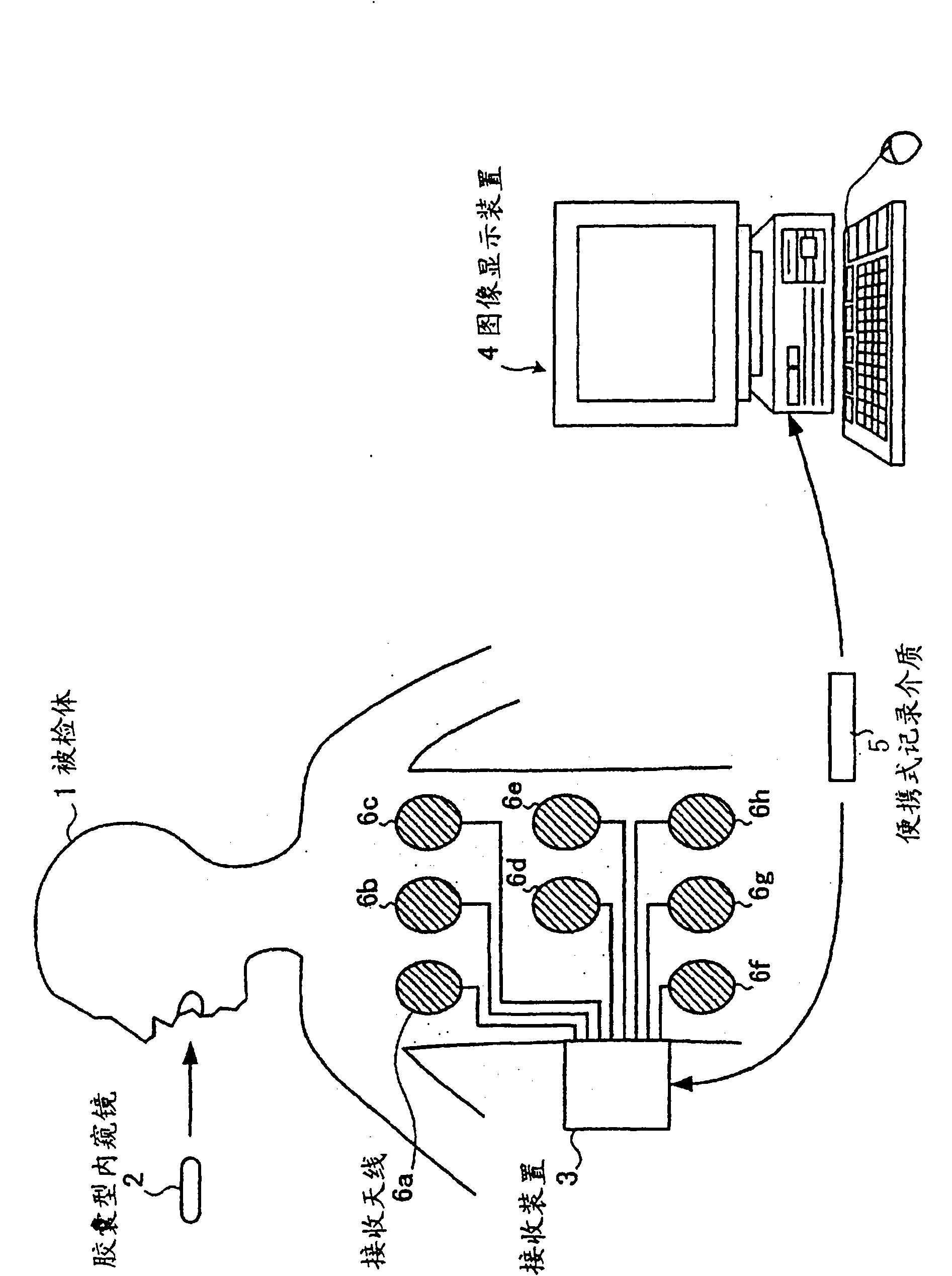 Image display device, image display method and image display program