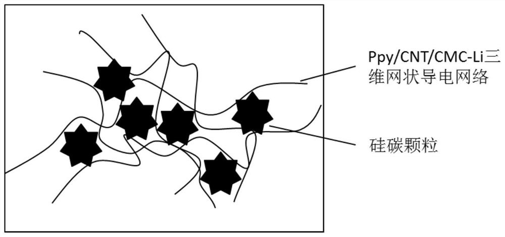 A kind of silicon carbon negative electrode and preparation method thereof