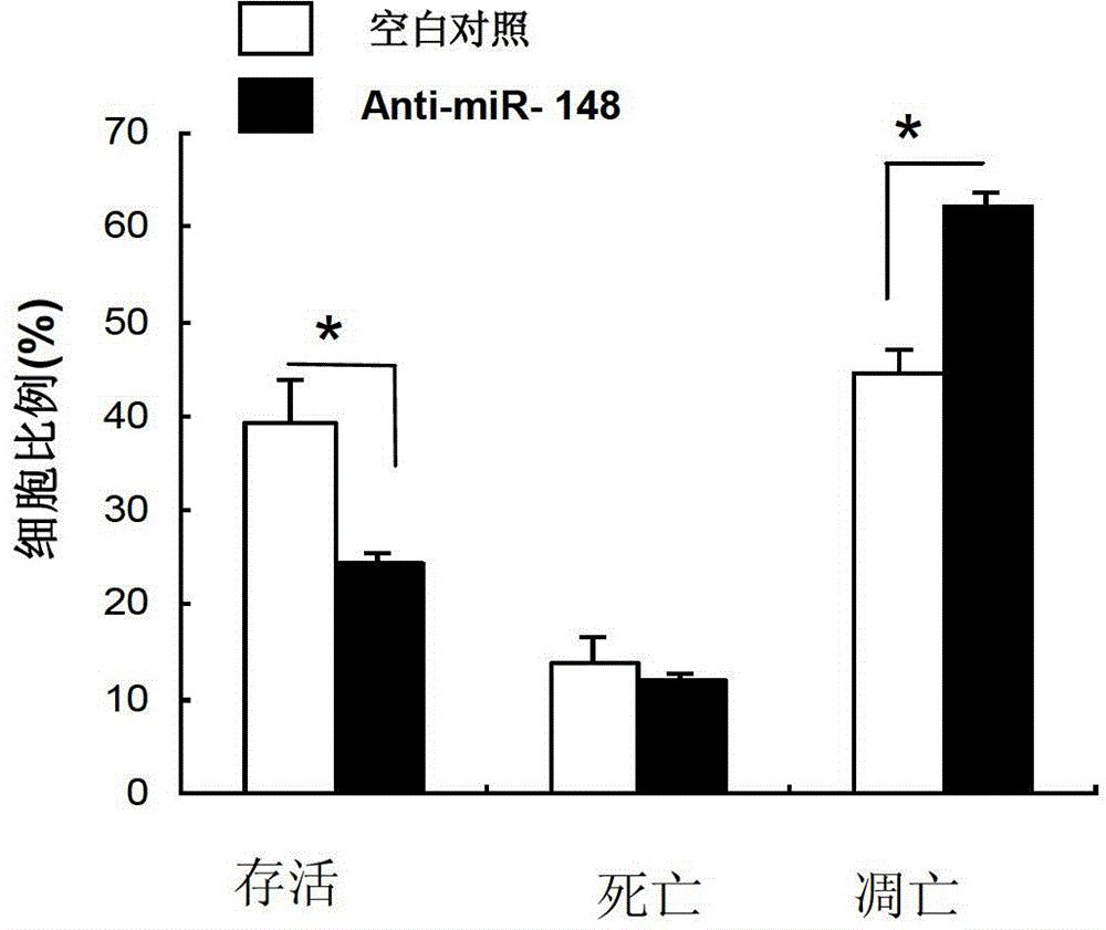 Application of miR-148 to proliferation of pancreatic beta cells