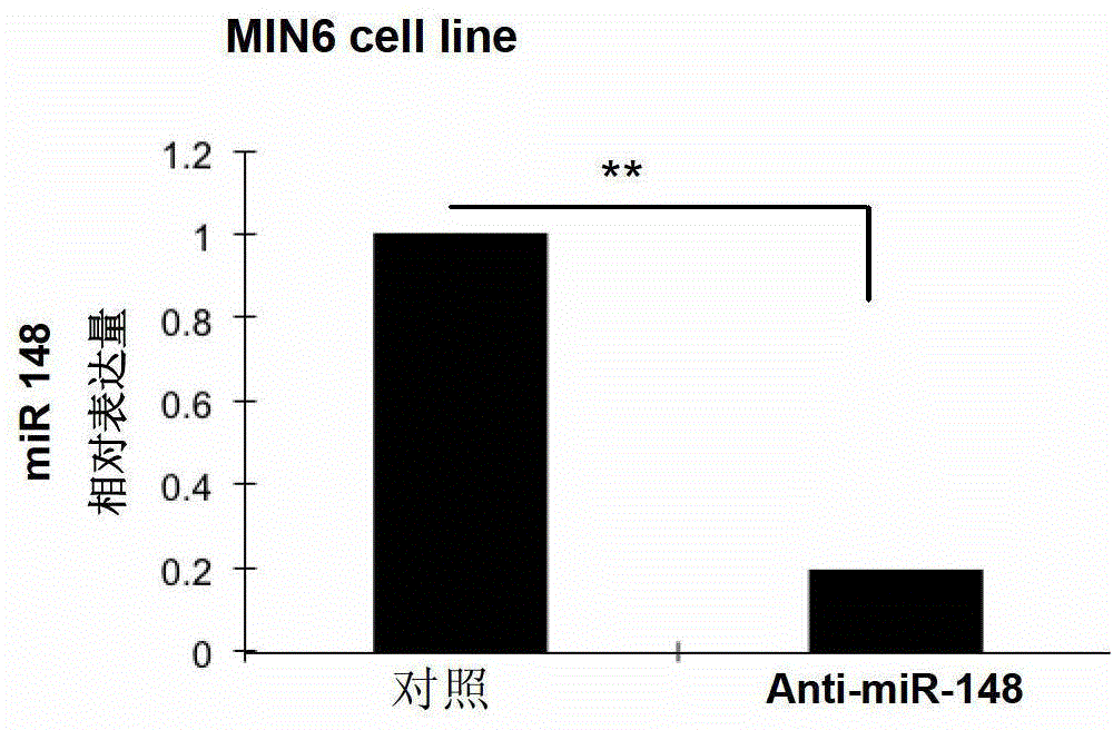 Application of miR-148 to proliferation of pancreatic beta cells