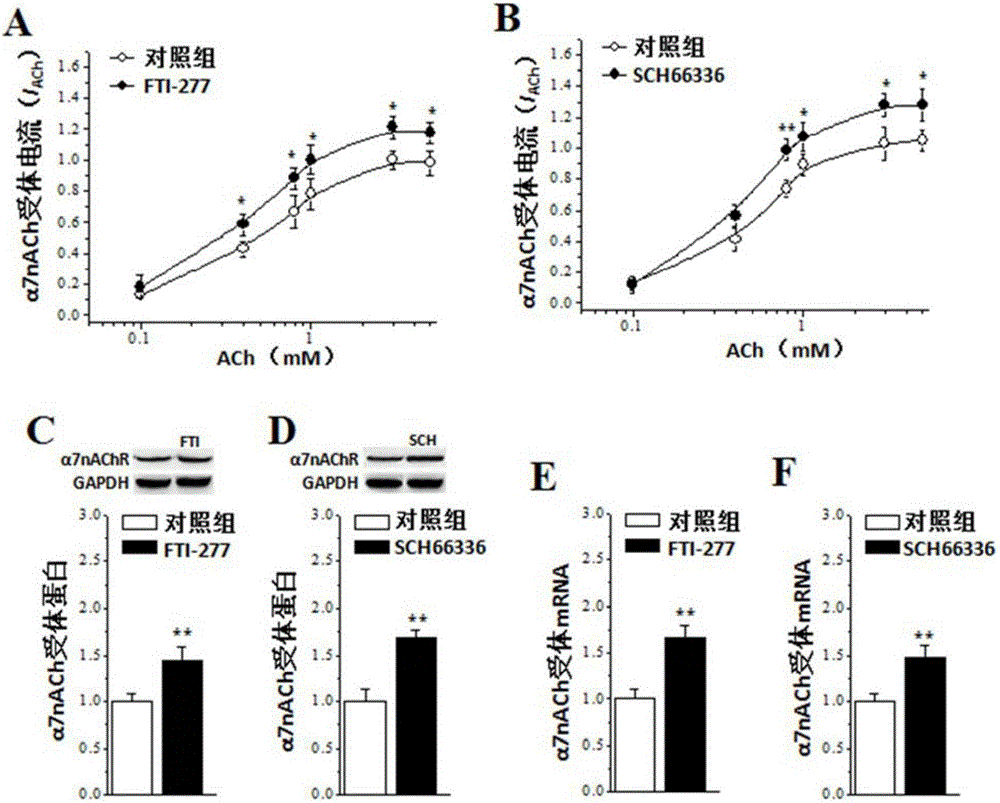 Application of farnesyltransferase inhibitors in preparation of medicine for facilitated cholinergic nerve system