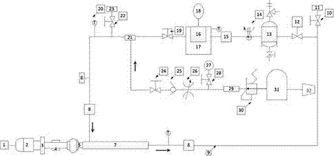 Performance testing device and method for screw pump