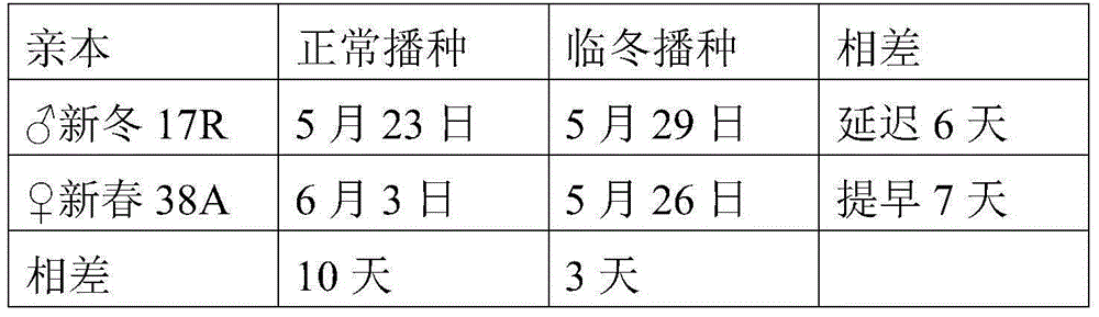 A kind of seed production method of three-line hybrid wheat, the produced seed and its application