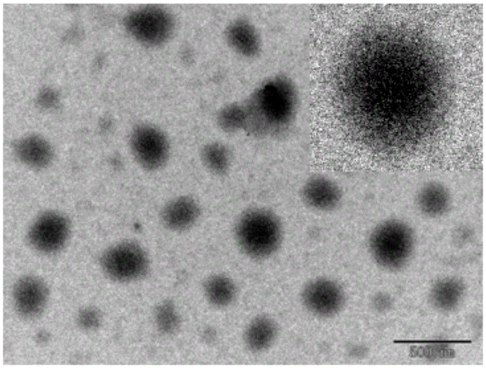 Delivery system based on miRNA-34a micromolecule regulator and preparation method and application of delivery system