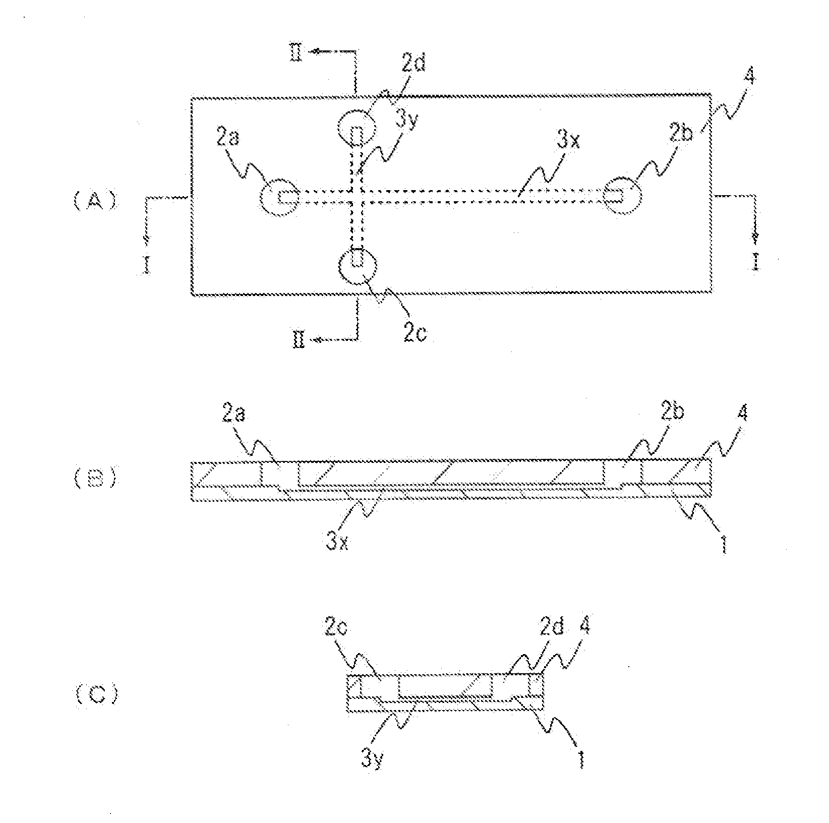 Electrophoresis Chip and Electrophoresis Apparatus