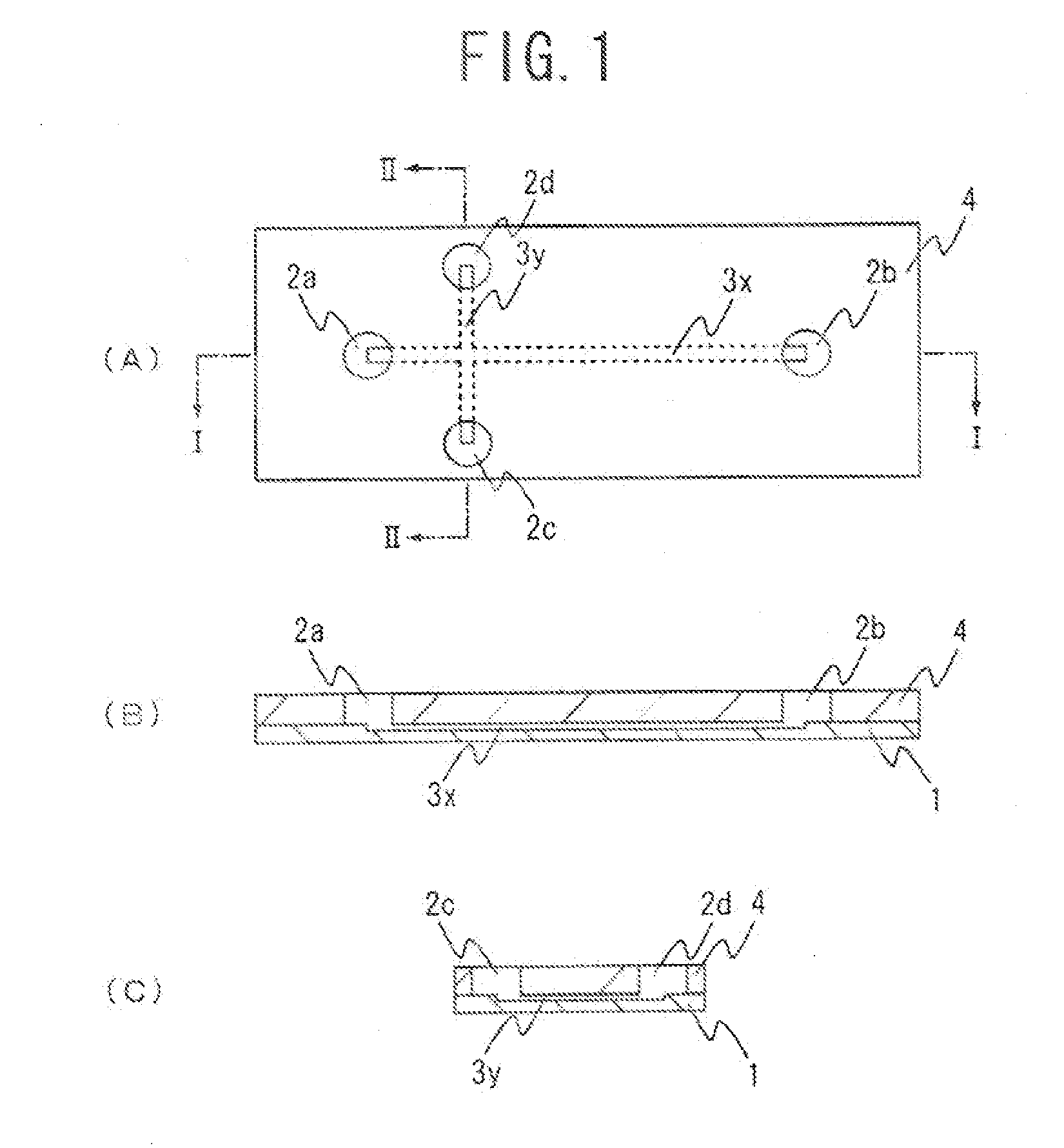 Electrophoresis Chip and Electrophoresis Apparatus