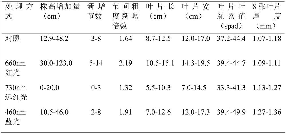 Method for regulating and controlling growth and development of grapes through light