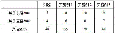 Method for performing raw soil greening on saline land according to underground hole storage irrigation technology of microfiltration membrane