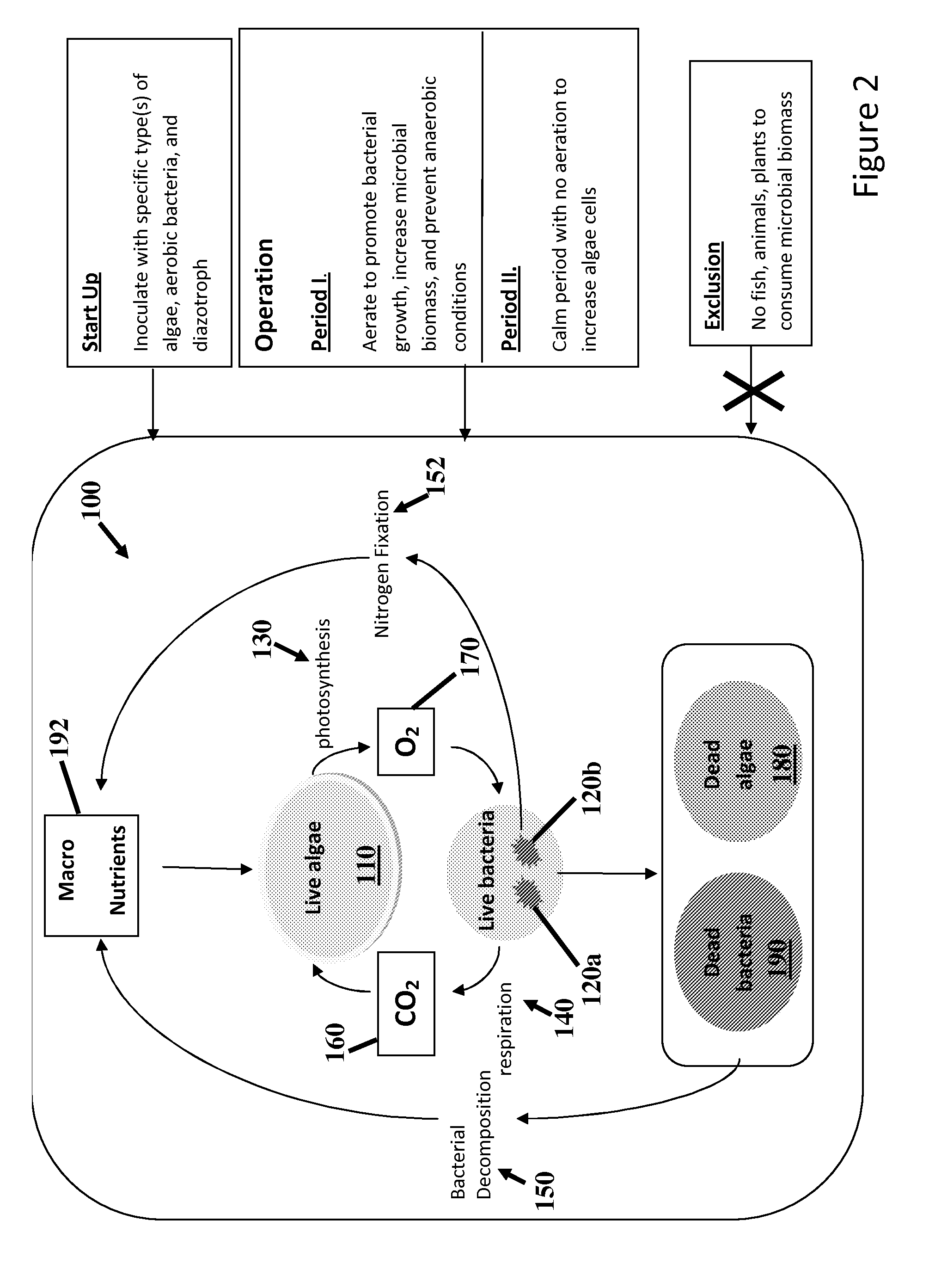 Method of enhanced sustainable production of algal bio-products, comprising use of symbiotic diazotroph-attenuated stress co-cultivation