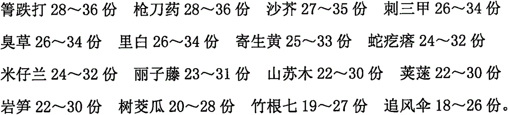 Traditional Chinese medicine preparation for treating rib fracture and preparation method