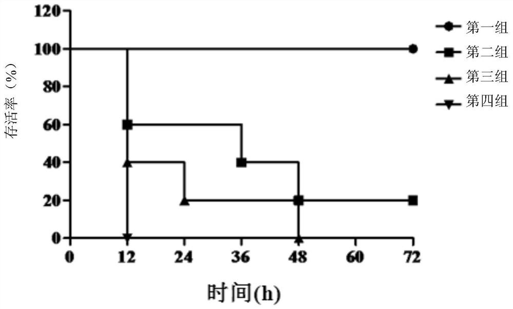 A monoclonal antibody yg11-2 against Staphylococcus aureus enterotoxin b and its application