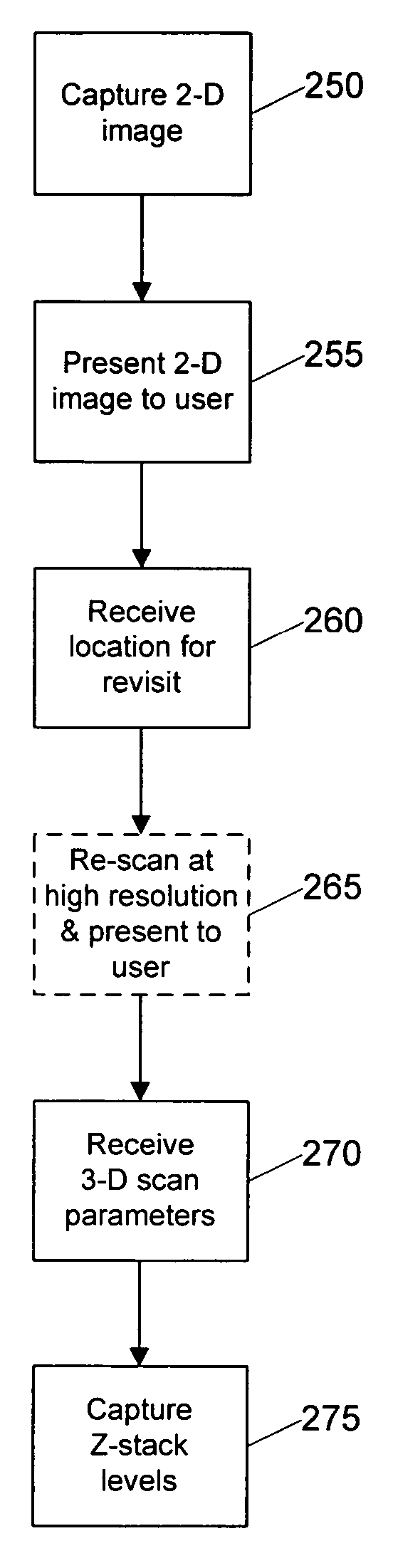 Systems and methods for creating and viewing three dimensional virtual slides