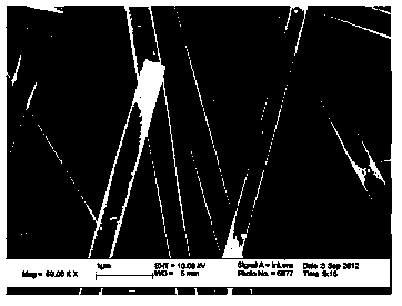 Strong-hydrophobic porous carbon nanofiber and preparation method thereof