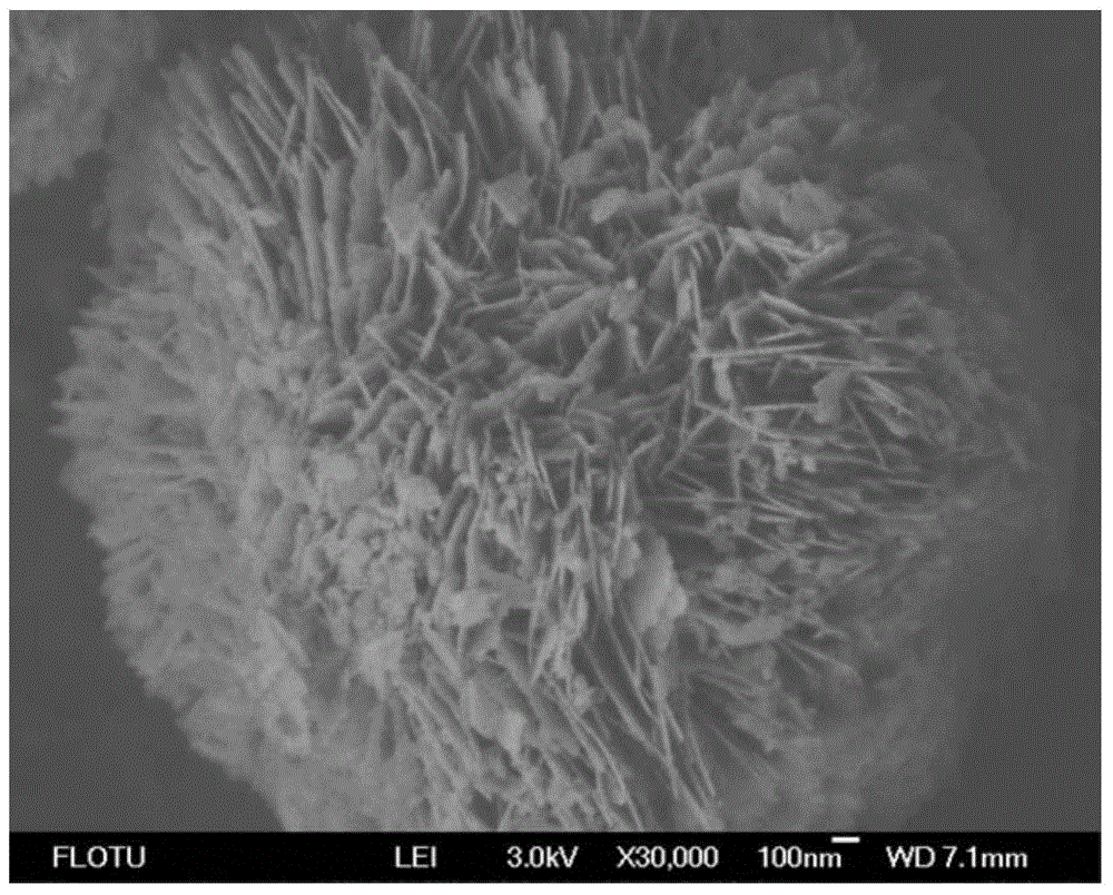 Zinc oxide nano-sheet cluster and preparation method thereof