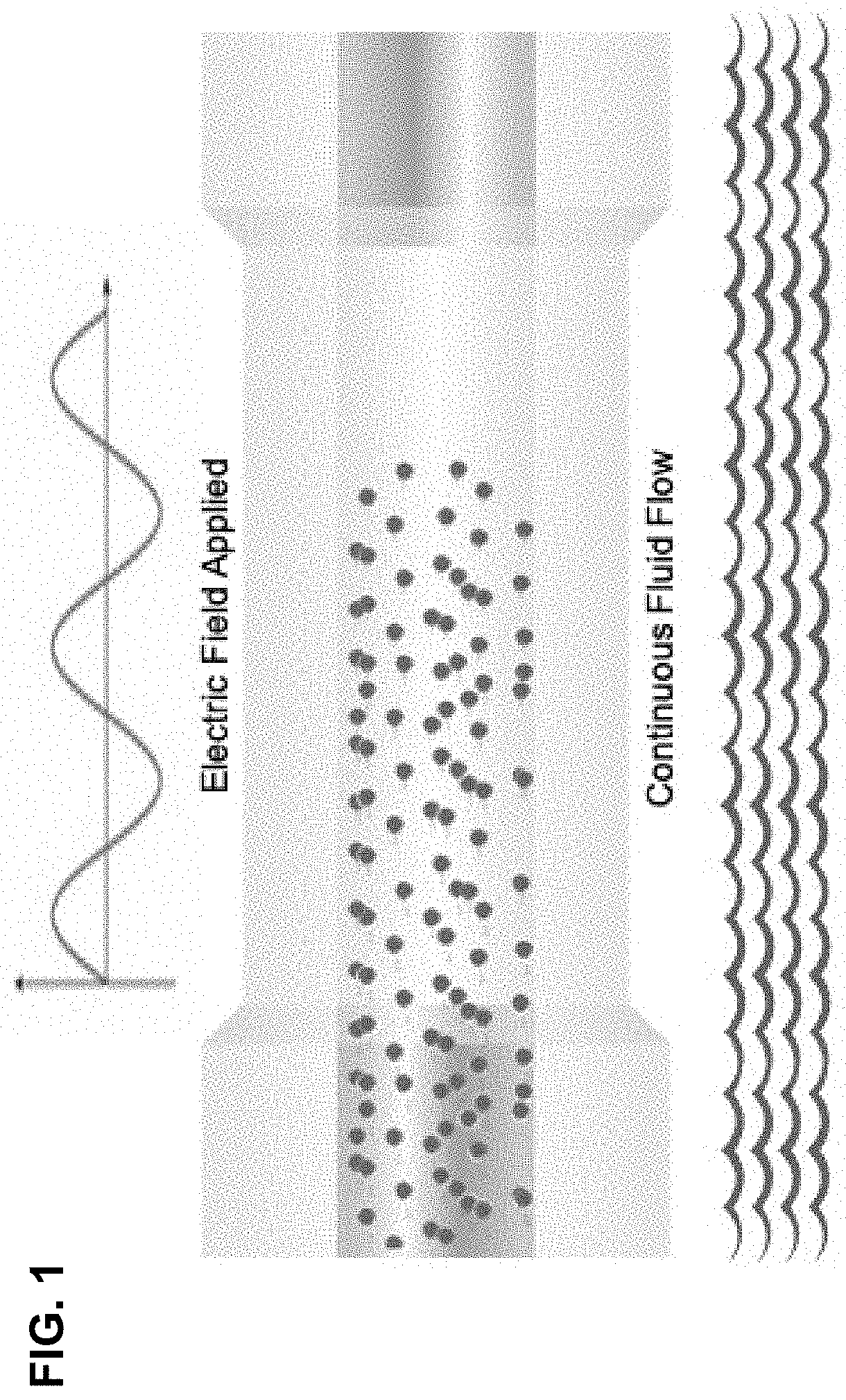 Methods for electro-mechanical transfection