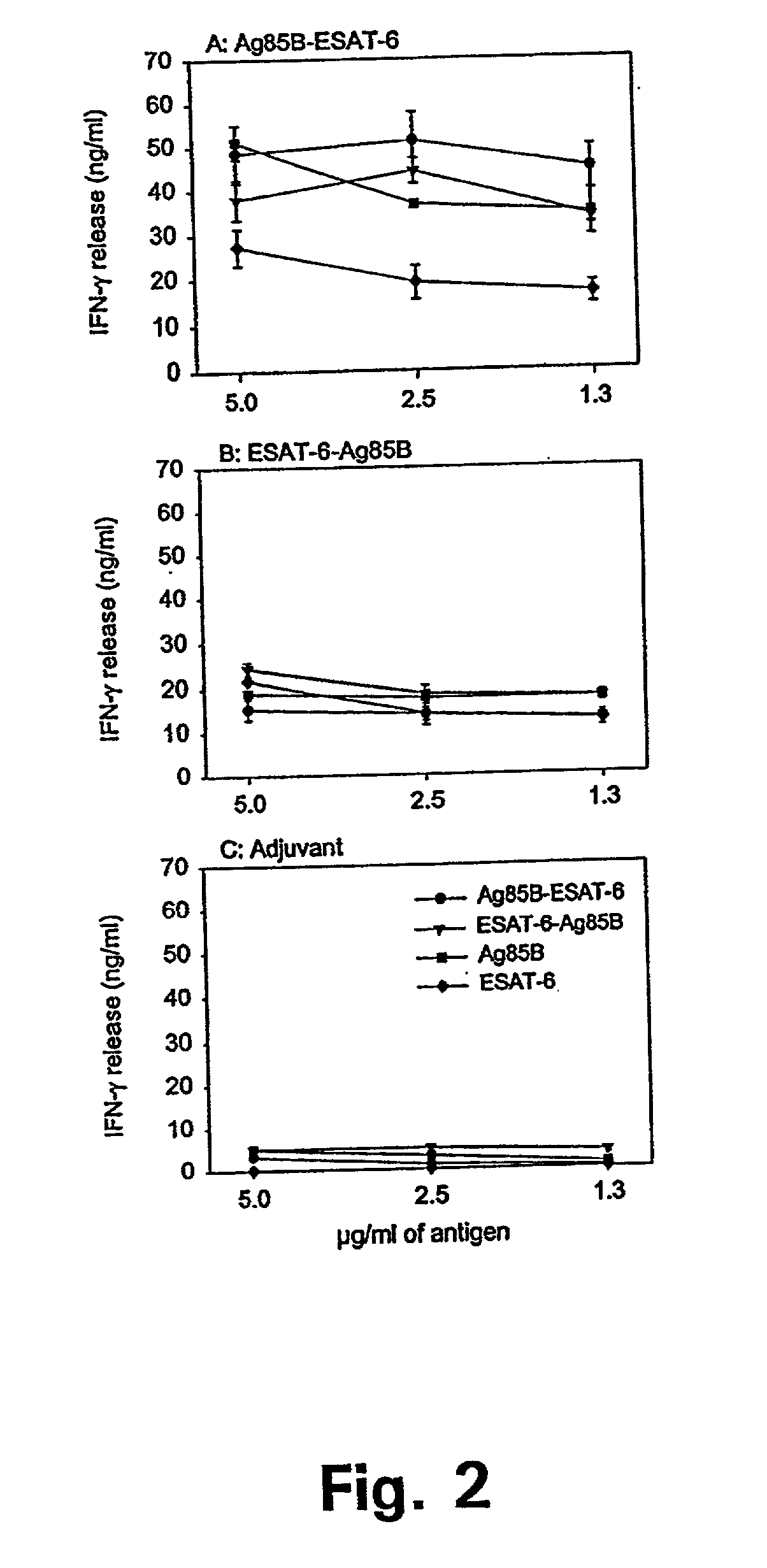 Hybrids of M. tuberculosis antigens