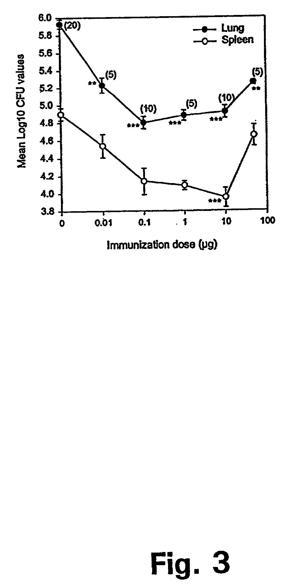 Hybrids of M. tuberculosis antigens