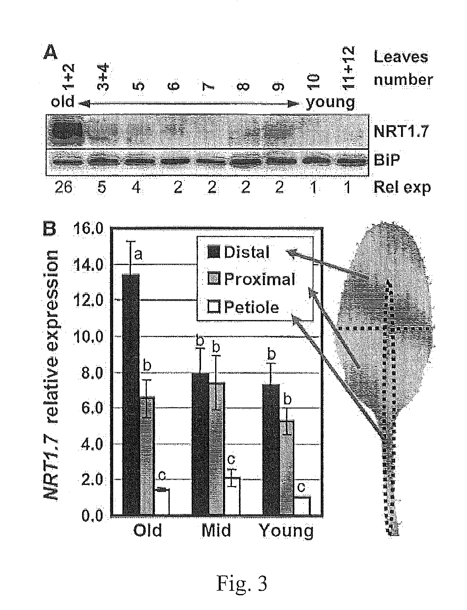 Method for changing nitrogen utilization efficiency in plants