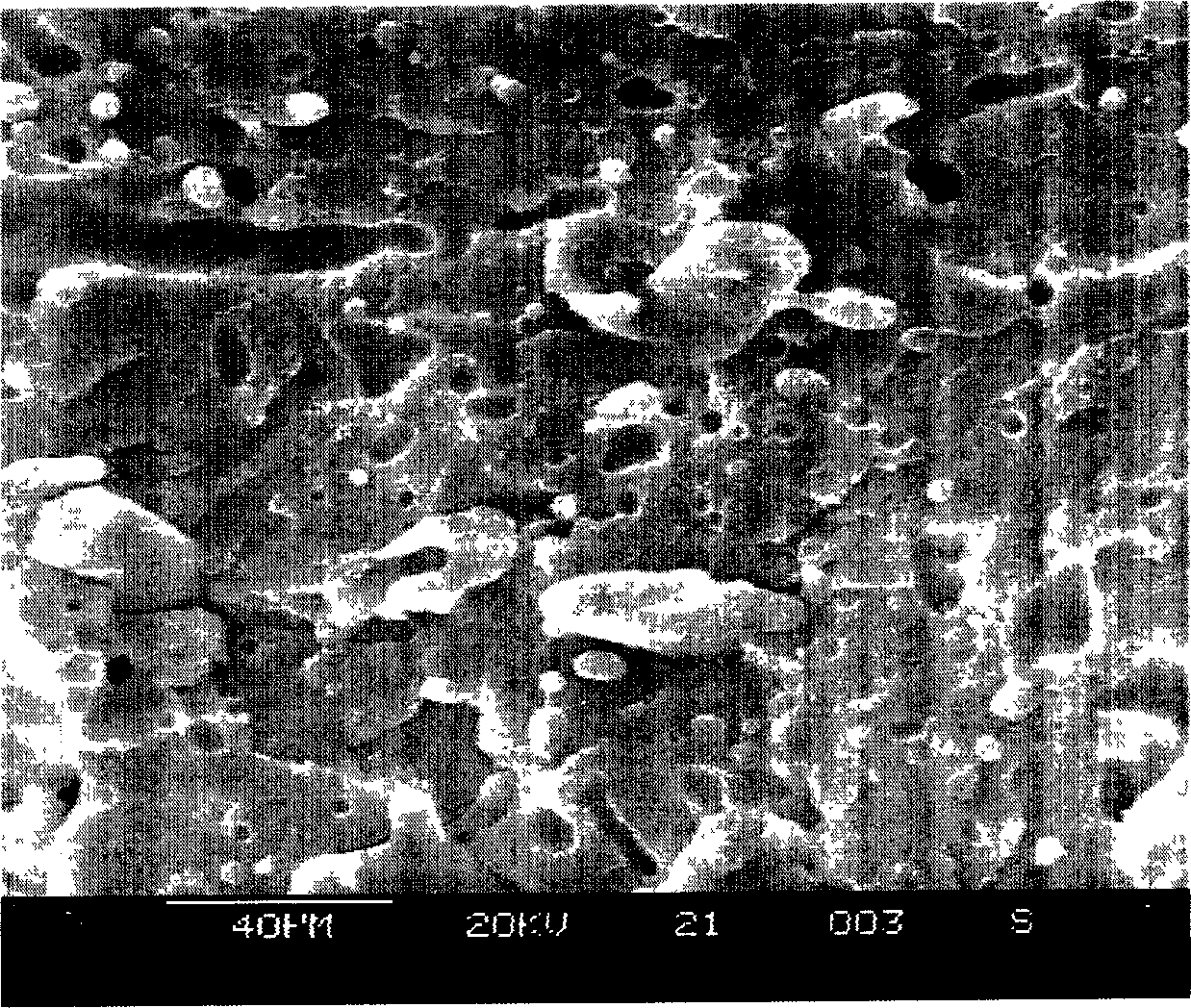 Porous polypropylene particle suspension solid phase graft-modification method