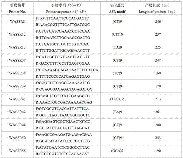 Syzygium samarangense EST-SSR molecular marker