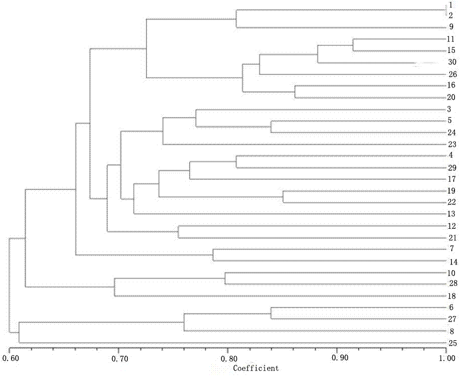 Syzygium samarangense EST-SSR molecular marker