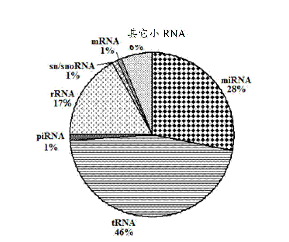 Down syndrome 21 chromosome miRNA differential expression map model, modeling method and application