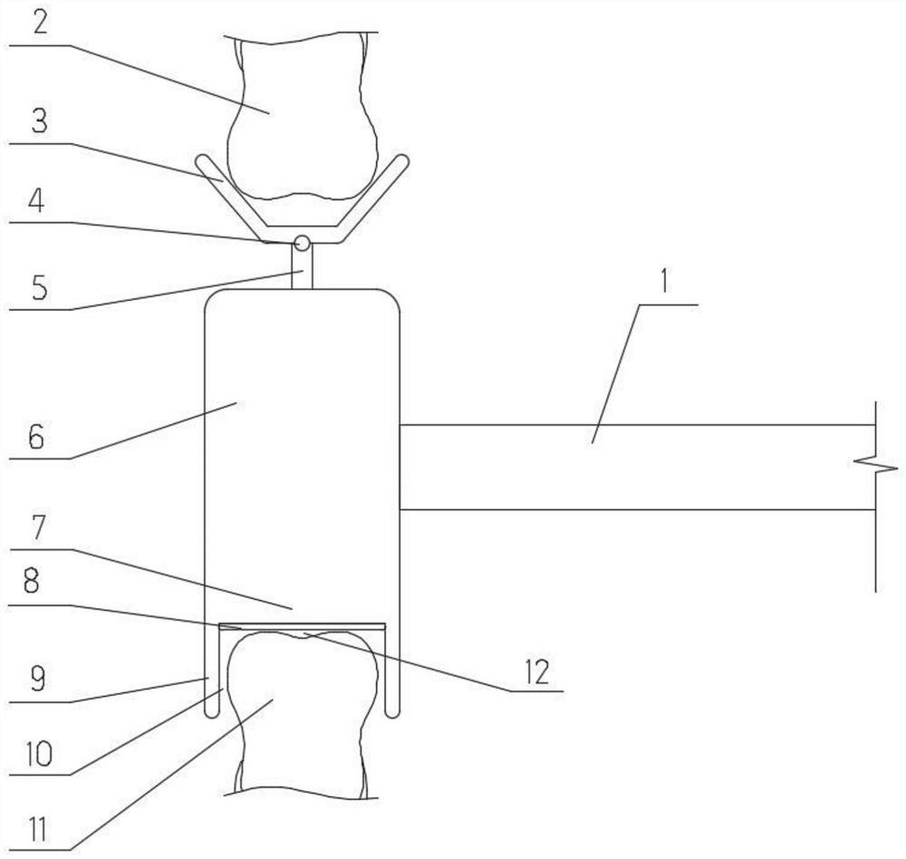 Light curing machine for oral correction