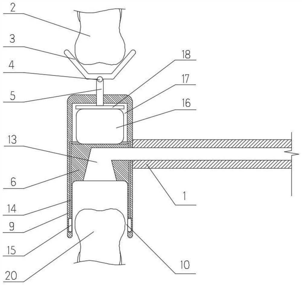 Light curing machine for oral correction