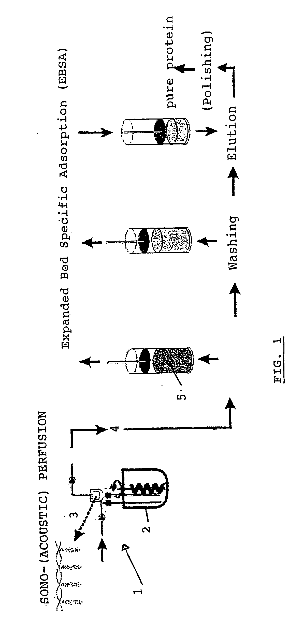 Integration of high cell density bioreactor operation with ultra fast on-line downstream processing