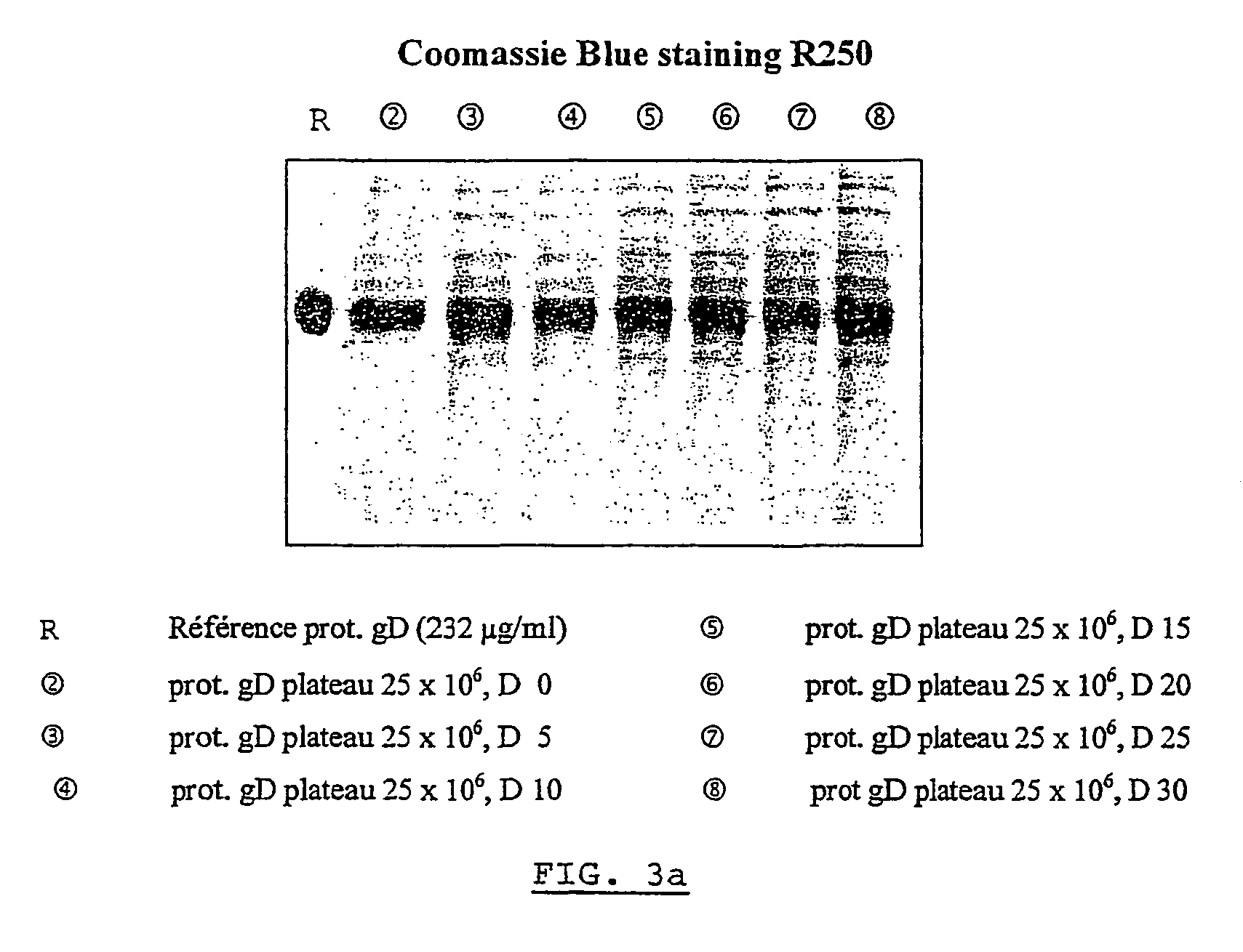 Integration of high cell density bioreactor operation with ultra fast on-line downstream processing