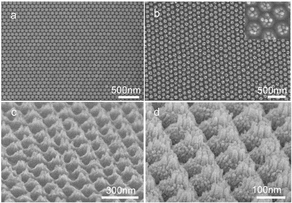 Gold film covered high-density nano needle point array and application thereof