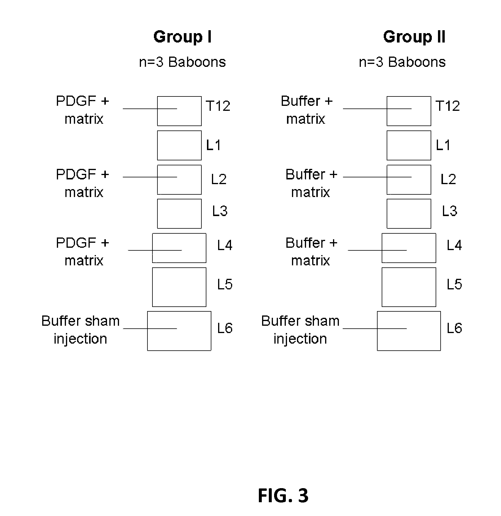 Compositions and methods for treating the vertebral column